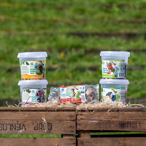 National Trust Kids Bird Food - Bundle of 5