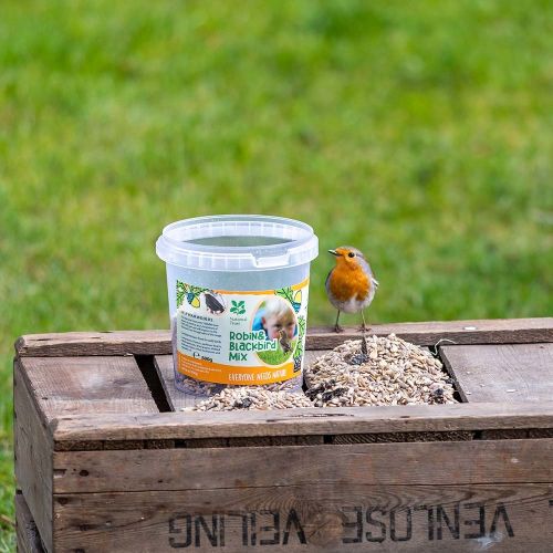 National Trust Kids Robin & Blackbird Mix