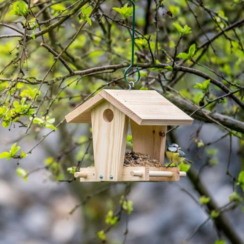 National Trust Kids Build-Your-Own Jinto Feeding House Kit