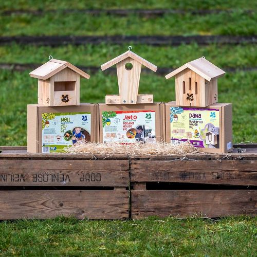 National Trust Kids Build Your Own - Bundle of 3