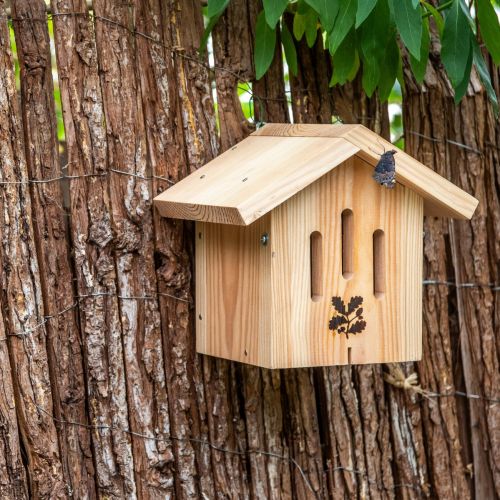 National Trust Kids Build-Your-Own Dana Butterfly House Kit